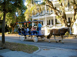 beaufort county south carolina horse and buggy