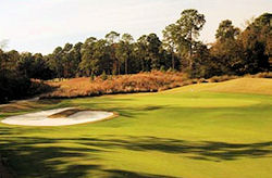 hilton-head-national-golf-course