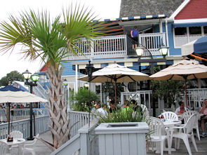 salty dog