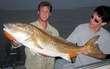 adventure outdoors hilton head deep sea fishing