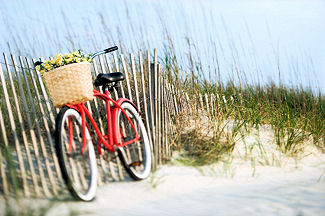 hilton head bike rentals