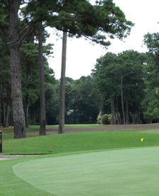 hilton head restaurants