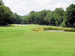 hilton head sc golf