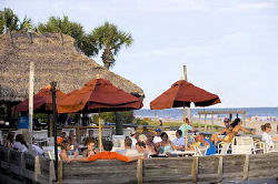 holiday inn hilton head island