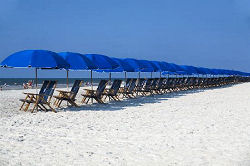 holiday inn hilton head island