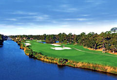 palmetto dunes golf