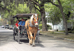 beaufort county south carolina