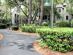 hilton head island rentals