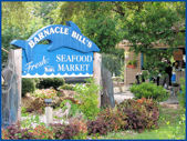 hilton head restaurants