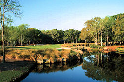 port royal south carolina