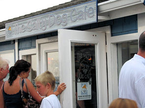 salty dog
