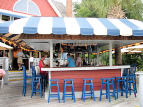 salty dog
