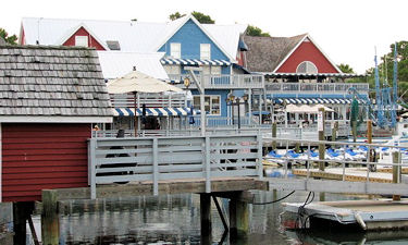 salty dog
