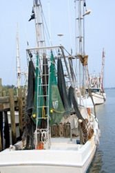 south carolina restaurants beaufort shrimp festival